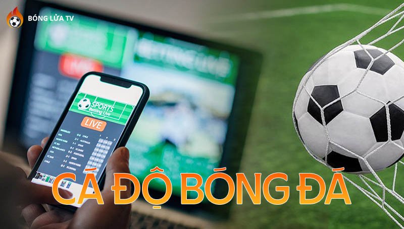ca-do-bong-da-la-gi-kinh-nghiem-ca-do-bong-da-cho-nguoi-moi-ronisizenet
