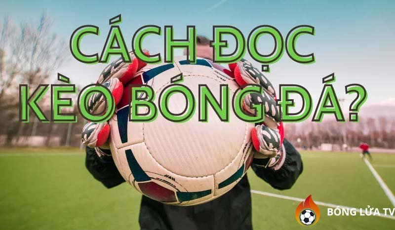 huong-dan-cach-doc-keo-bong-da-de-hieu-nhat-ronisizenet
