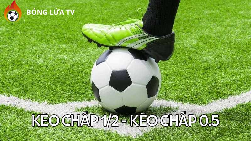 keo-chap-1-2-la-gi-cach-doc-keo-chap-1-2-chuan-xac-nhat-ronisizenet