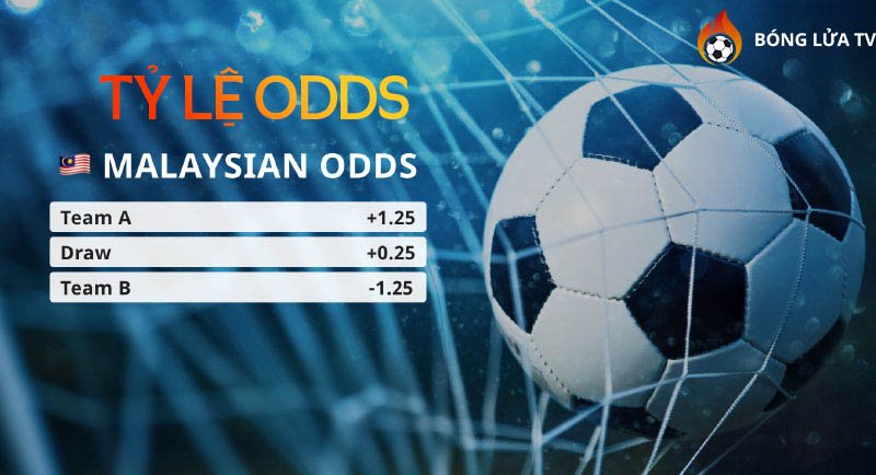 odds-la-gi-kham-pha-chi-tiet-ve-ty-le-odds-trong-ca-cuoc-bong-da-ronisizenet