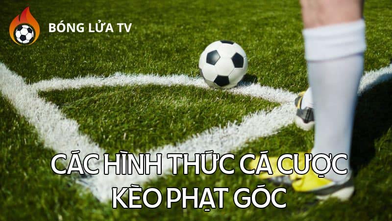 cac-hinh-thuc-ca-cuoc-keo-phat-goc-pho-bien-ronisizenet