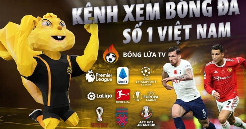 xem-bong-da-chat-luong-khong-giat-khong-lag-ronisizenet